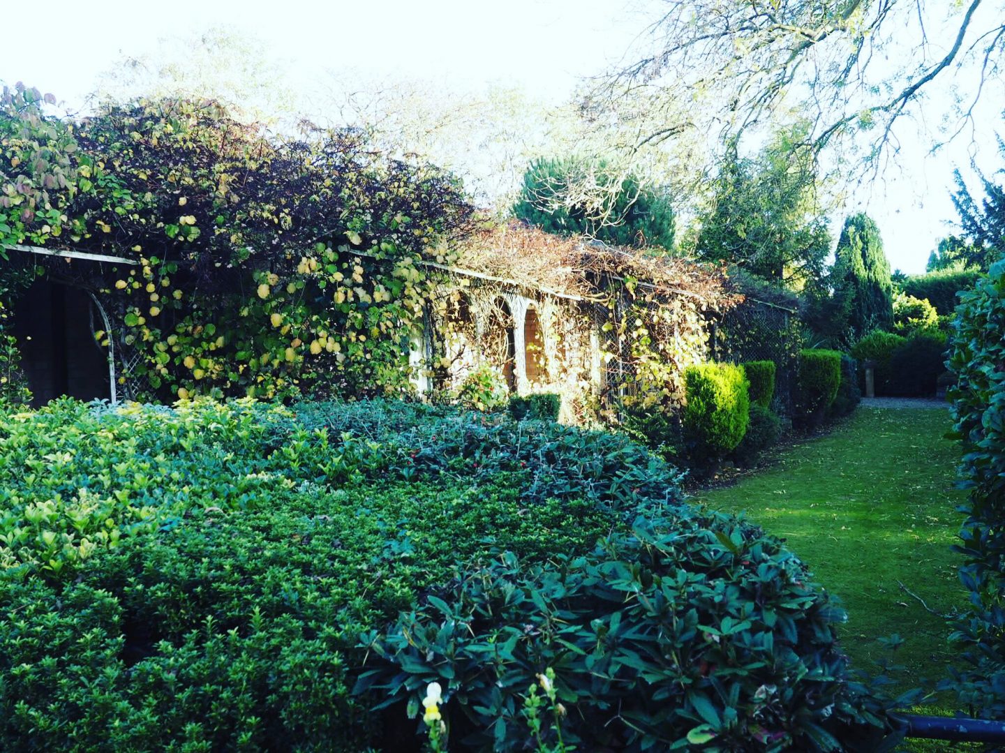 Mount-Royale-York-Gardens