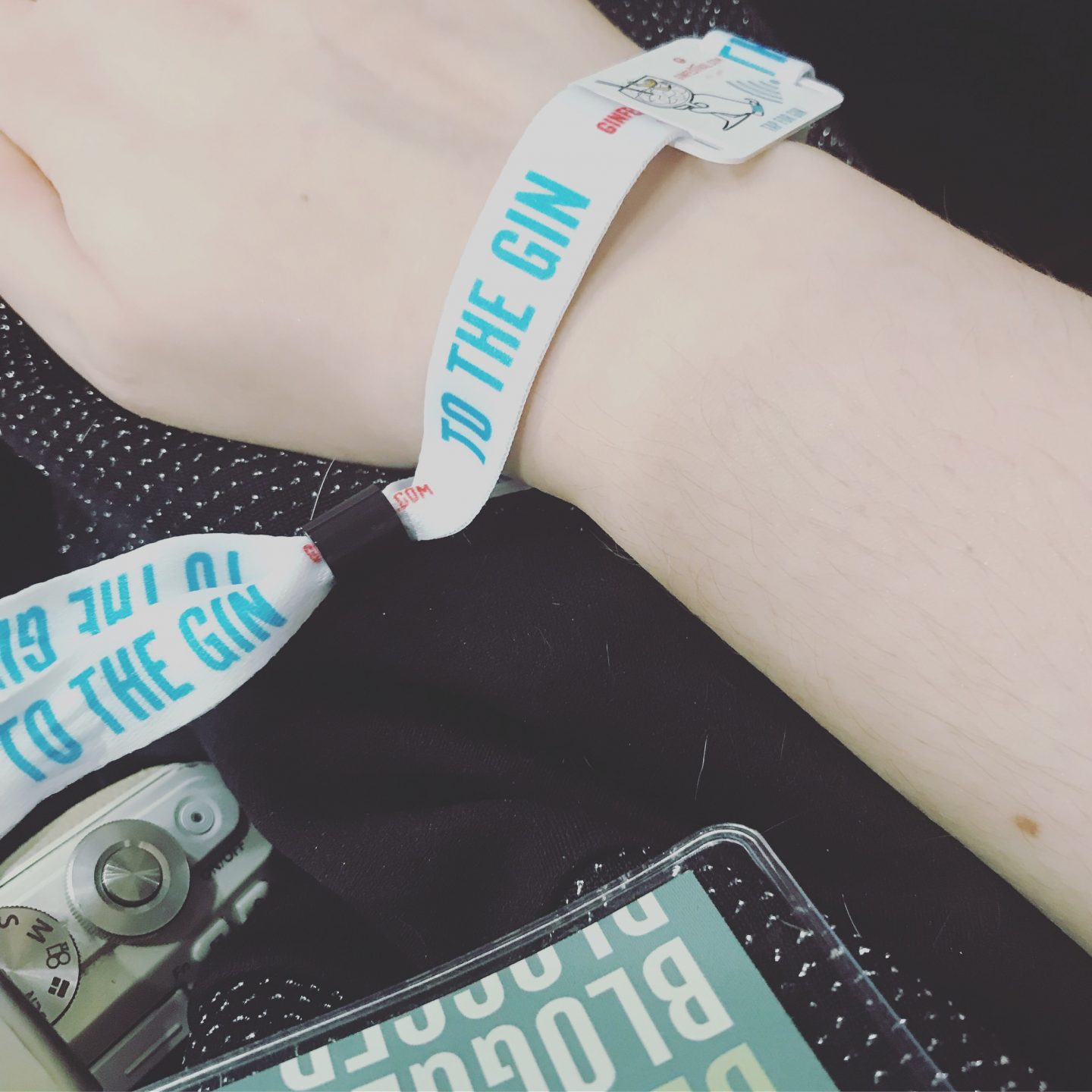 Gin-Festival-Blogger-Pass